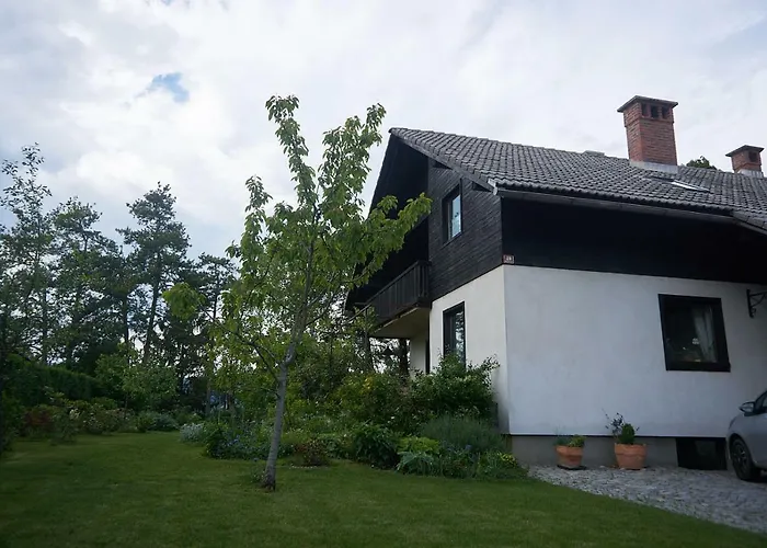 Apartment Ivana B