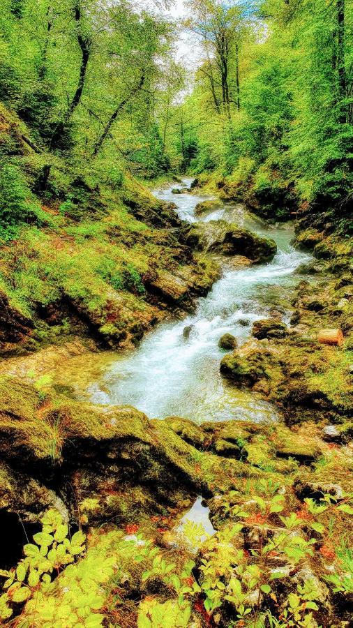Ivana B Lesce (Upper Carniola)