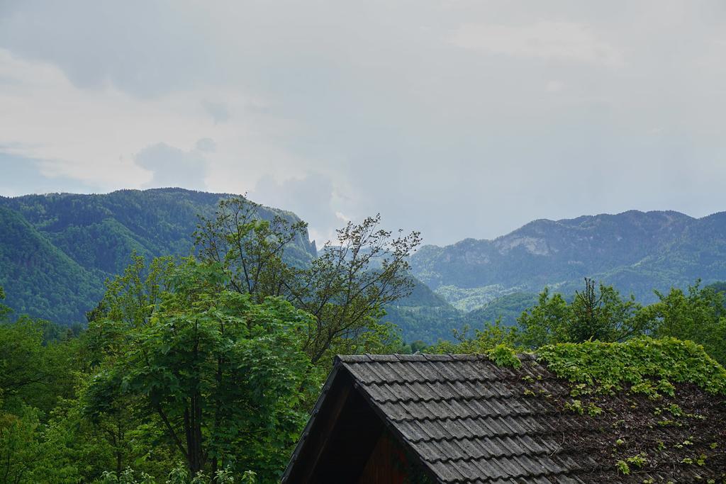 Ivana B Apartment Lesce (Upper Carniola)