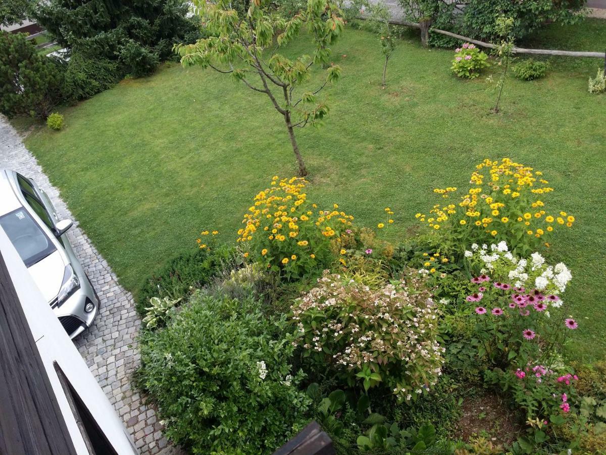 Apartment Ivana B Lesce (Upper Carniola)