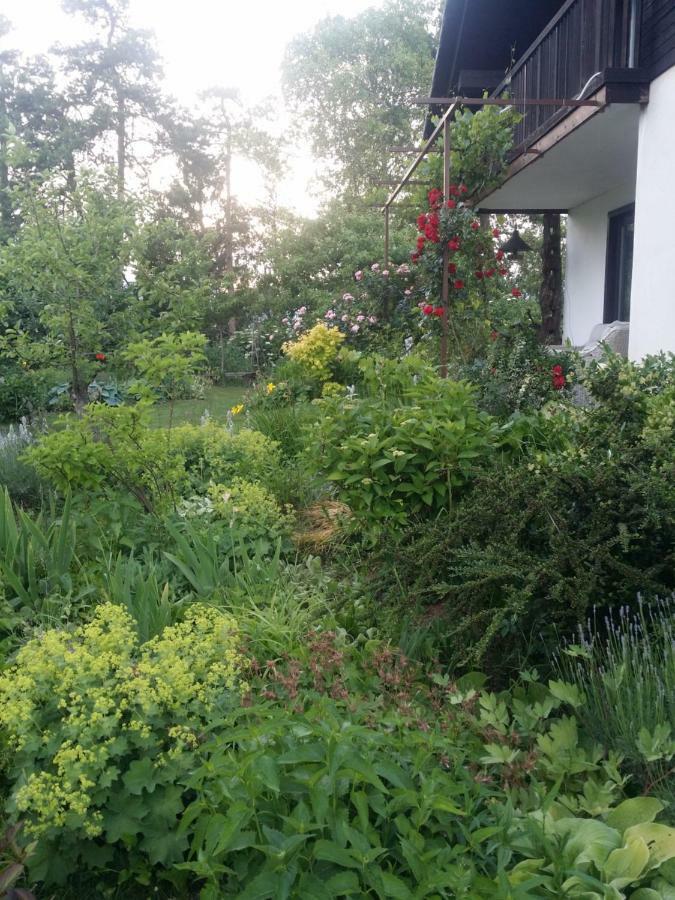Apartment Ivana B Lesce (Upper Carniola)