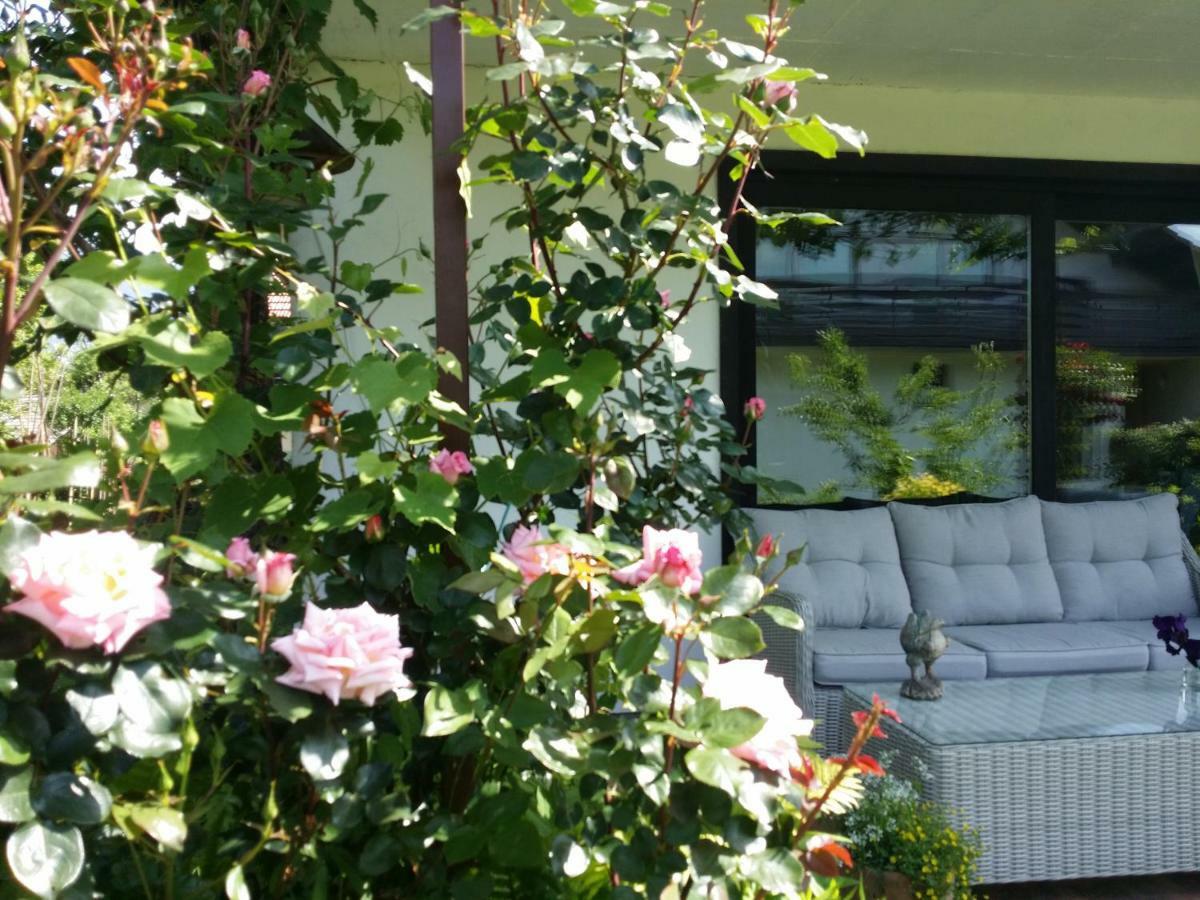 Apartment Ivana B