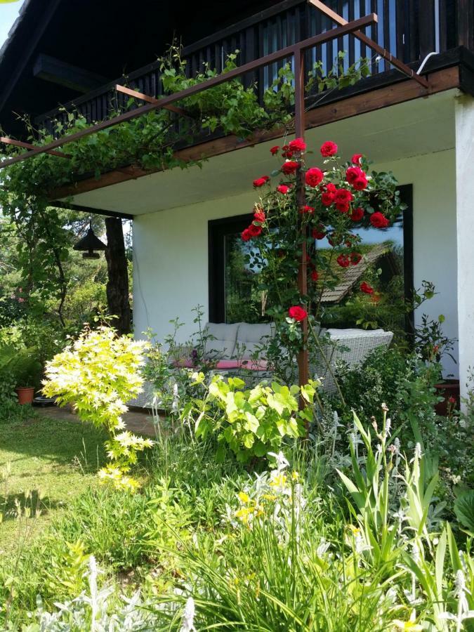 Apartment Ivana B